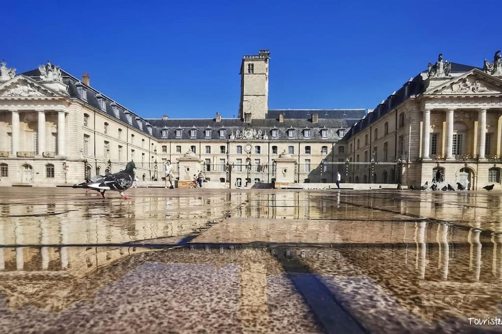 L'Eden, Apt 4 Prs Avec Jardin En Centre Ville ديجون المظهر الخارجي الصورة